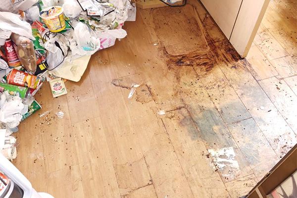 脱臭除菌・光触媒